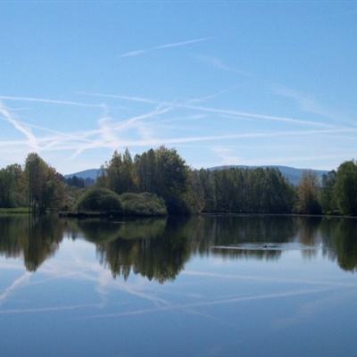 welcome 彩神8的最新网址