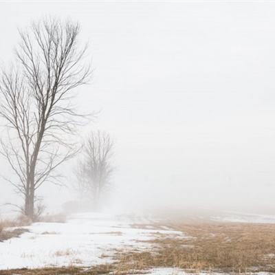 美高梅mgm集团4688